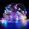 50 led lights on a wire - multicolor